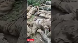 Ещё одно видео взятой шайки укронациков