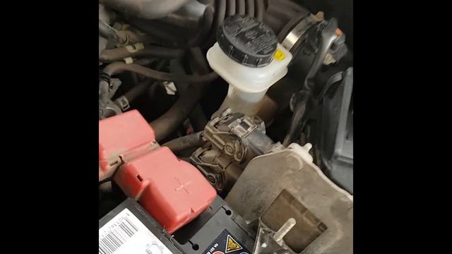 Спонтанная поездка в Польшу за авто, под растаможку.