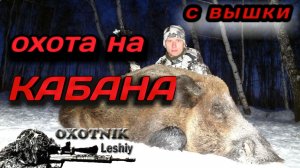 Сезон закрыт двумя кабанами. Охота с вышки.