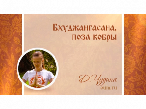 Бхуджангасана, поза кобры. Дарья Чудина