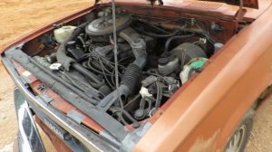 1984 Nissan KingCab ST JUNKYARD FIND