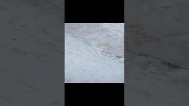 Знакомство с улицец