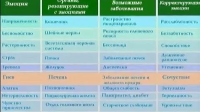 НАШИ ЭМОЦИИ. ЧУВСТВА. смотреть онлайн