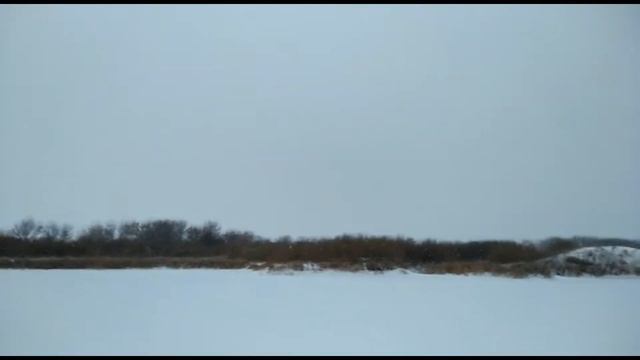 Рыбалка. Романовка Карьер