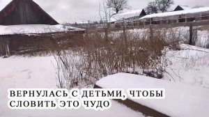 ЗАЯЦ НА УЧАСТКЕ! Ловим трусливого гостя в огороде!