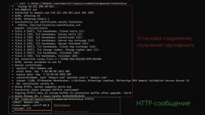Как работают HTTP-запросы? Чем отличается HTTP / 1.1 от HTTP / 2 и HTTP / 3?