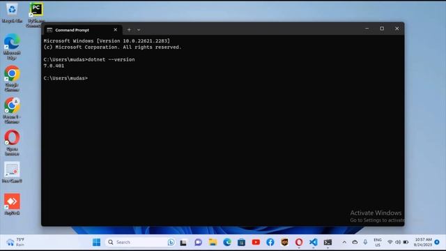 How to Run C# using Visual Studio Code | VSCode Setup for C# Programming