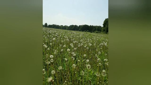 Красивые места в Тюменской области? смотреть онлайн