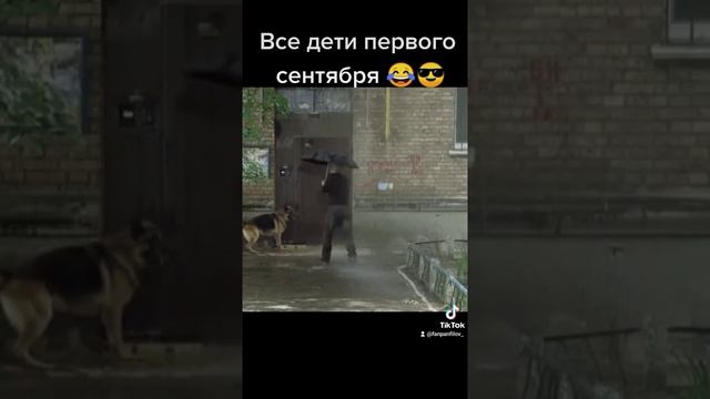 пёс-смешные моменты ??? смотреть онлайн