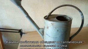 Садовая лейка