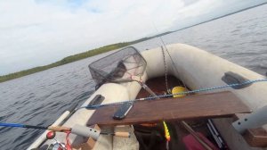 Троллинг. Ловля судака троллингом с копиями RAPALA Tail Dancer