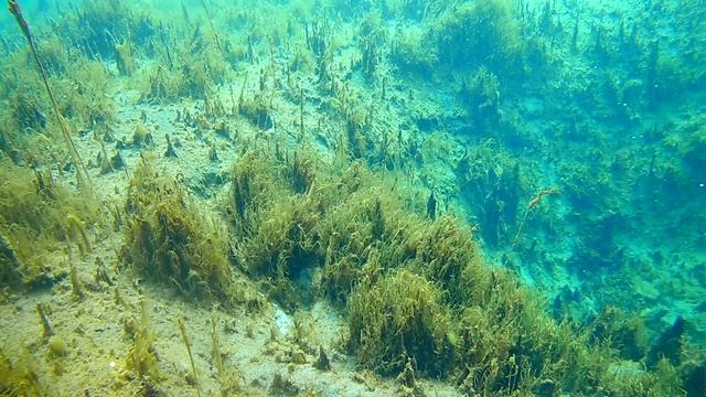 Голубое озеро (Зянгяр куль) – красивый карстовый водоём около Уфы | Ураловед