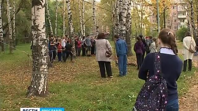 В Ярославле стартовали соревнования по фрироупу смотреть онлайн