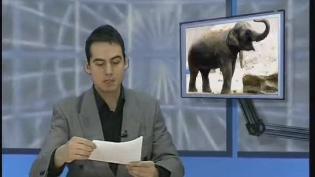 153 ozbiljne vesti vesti 24 02 2004 смотреть онлайн