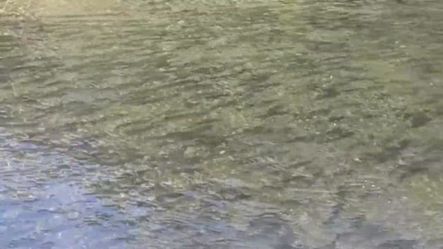 Заполнение рек в 2018 году смотреть онлайн