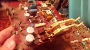 вильма312 золото.