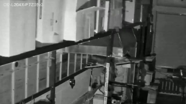 PTZ-купольная IP-камера CO-L204X-PTZ05v3. Офис ночь. смотреть онлайн