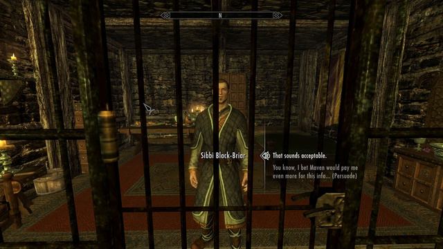 Uploading One Skyrim Video a Day until Elder Scrolls 6 | EP 496 смотреть онлайн