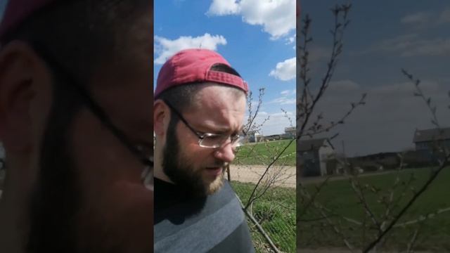 уход за грядками хольцера.