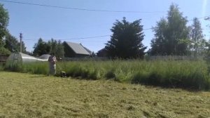 Косим высокую траву газонокосилкой