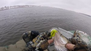 29 ноября, ловля судака с лодки на спиннинг