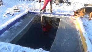 Собственный пруд с рыбой.Рыбалка с сачком.Деревня