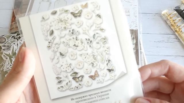 Скрапбукинг. Vlog. Круговой резак от We R memory keepers, нежный комплект и мои серии АТС смотреть онлайн