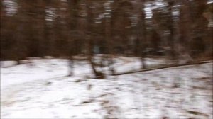 Зимняя рыбалка на Волге. Окунь на гондурас. Самара. Ice fishing for perch.