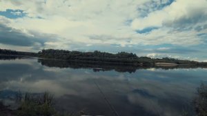 Где лещи в Гнилево?  Рыбалка летом на реке Десне