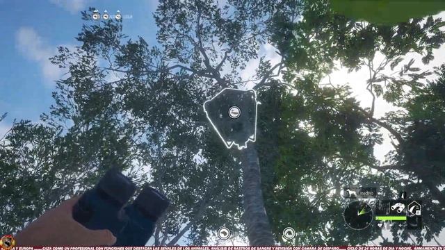 MONTERÍA ESPECTACULAR EMERAL COATS AUSTRALIA - the hunter call of the wild смотреть онлайн