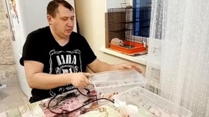 Увлажнитель Для Инкубатора Своими руками