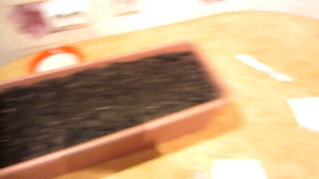 Самый на и простейший и ленивый способ посадки семян томатов, баклажан и сладких перцев! смотреть онлайн