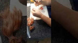 Проверка в мастерской ножниц - шанкеры