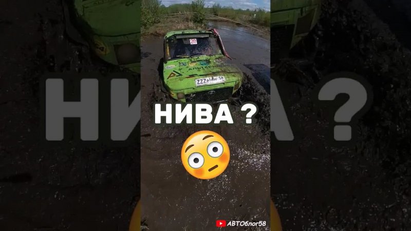 Зелёная нива ?