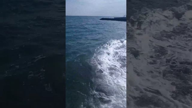 Алуште  набережная Профессорского уголка. Все цветет и море красивое марта 2023