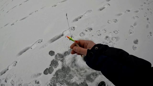 Долгожданная рыбалка разочарования / приманка размером с рыбу / микроокунь на балансир 29.01.2023 смотреть онлайн