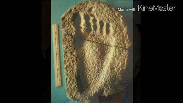 Неизвестные Животные Планеты Земля 073 - Великаны (Исполины) смотреть онлайн