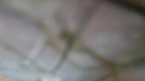 Моя любимая(Я уходил тогда в поход в далёкие края. Рукой взмахнула у ворот моя любимая)наброски)