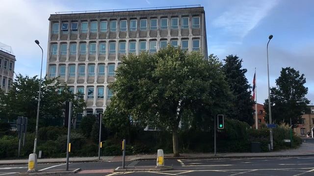 Whitebeam (Sorbus aria) - tree along Paris street - August 2018 смотреть онлайн