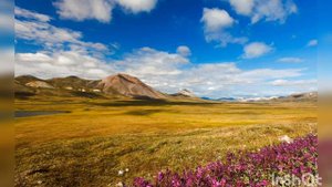 Как выглядит тундра?