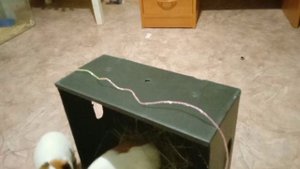 СДЕЛАЛИ ДОМ ИЗ КАРОБКИ ЭКОНОМИЯ И ПОЛЬЗА!! идея взята у свинки Бузи!