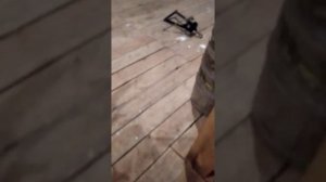 про ирбис тунгус500