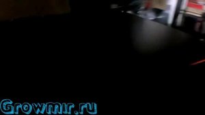 Шумоизоляция Гроубокса. Светоизоляция Гроубокса