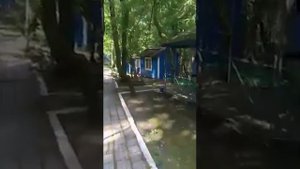Бухта Инал база Золотое руно