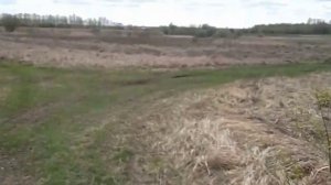 Сиреноголовый появился в лесу, около моего дома.он набросился на меня и сломал дерево.