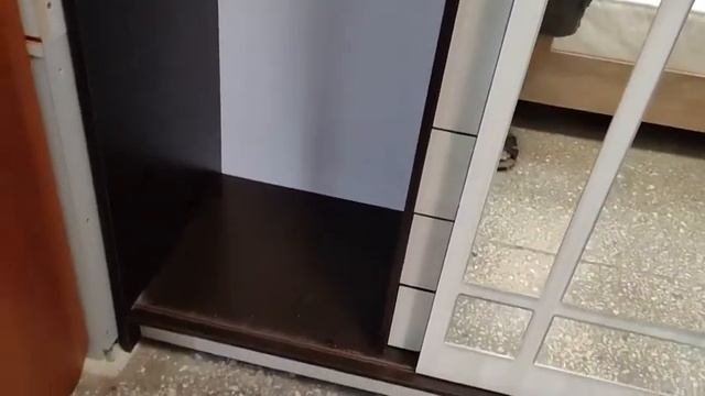 Шкаф Лорд, Дуб Венге/Сосна Лоредо смотреть онлайн