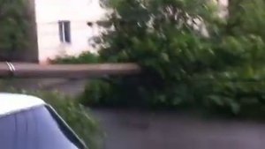 Электрический столб упал в Ярославле