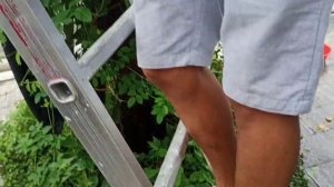 31.10.2021. Так делают навес от дождя.