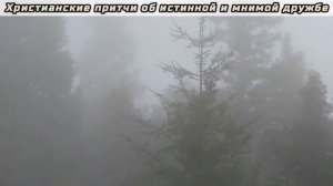 Христианские притчи об истинной и мнимой дружбе