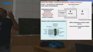 Основы анатомии и физиологии, Гайдуков А. Е. 02.09.2021г.